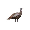 Avian-X LCD Lookout Hen Decoy AVX-AVX8006